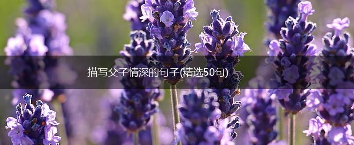 描写父子情深的句子(精选50句),第1张