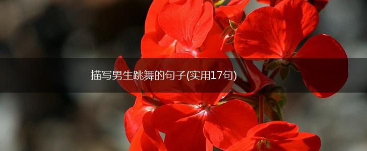 描写男生跳舞的句子(实用17句),第1张