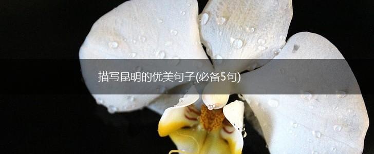 描写昆明的优美句子(必备5句),第1张
