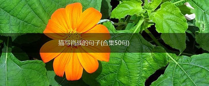 描写肖战的句子(合集50句),第1张