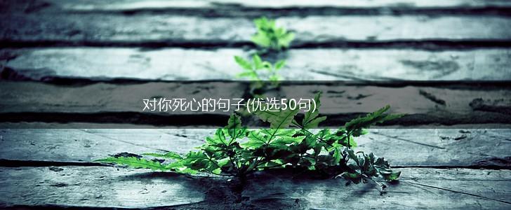 对你死心的句子(优选50句),第1张