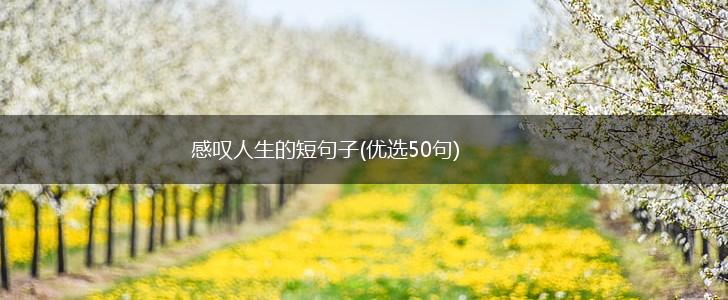 感叹人生的短句子(优选50句),第1张