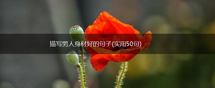 描写男人身材好的句子(实用50句),第1张