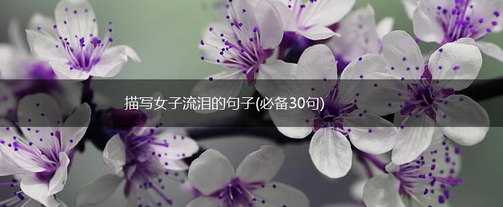 描写女子流泪的句子(必备30句),第1张