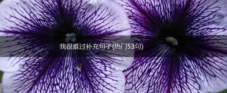 我很难过补充句子(热门53句),第1张