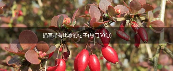 描写带有比喻的句子(热门50句),第1张 描写带有比喻的句子(热门50句),第1张