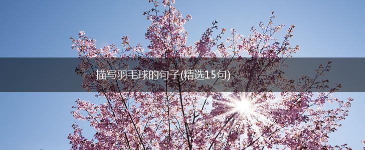 描写羽毛球的句子(精选15句),第1张