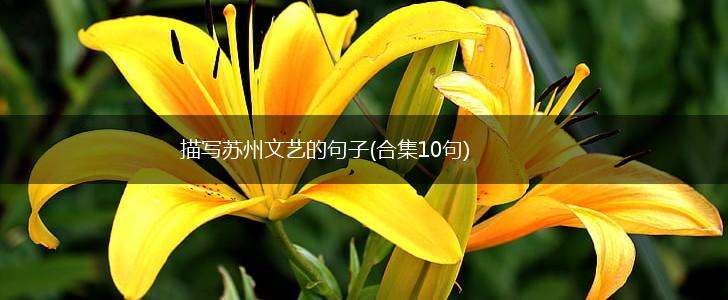 描写苏州文艺的句子(合集10句),第1张