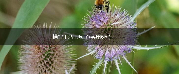 描写干活的句子(实用6句),第1张 描写干活的句子(实用6句),第1张