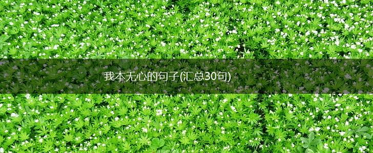 我本无心的句子(汇总30句),第1张 我本无心的句子(汇总30句),第1张