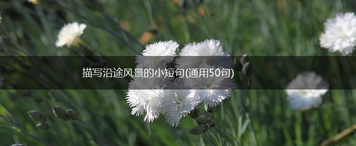 描写沿途风景的小短句(通用50句),第1张