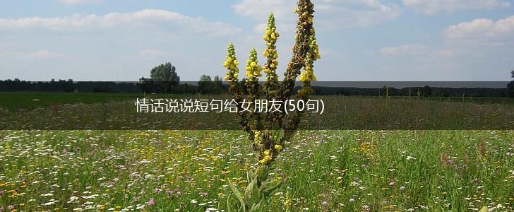 情话说说短句给女朋友(50句),第1张