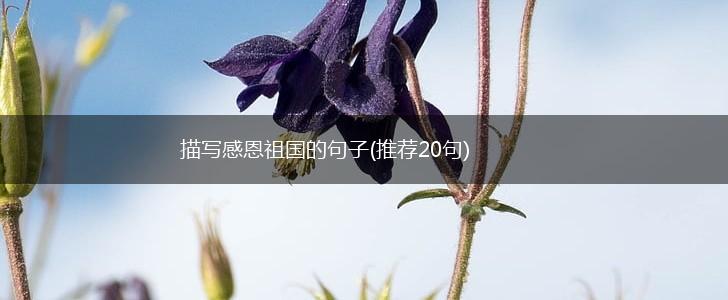 描写感恩祖国的句子(推荐20句),第1张