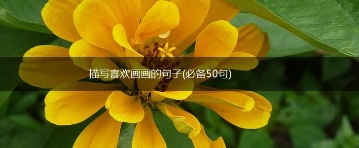描写喜欢画画的句子(必备50句),第1张