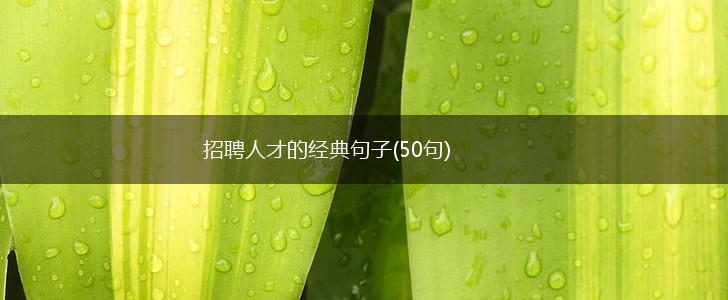 招聘人才的经典句子(50句),第1张 招聘人才的经典句子(50句),第1张