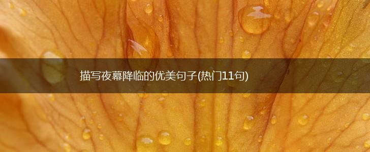 描写夜幕降临的优美句子(热门11句),第1张