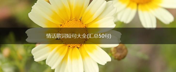 情话歌词短句大全(汇总50句),第1张