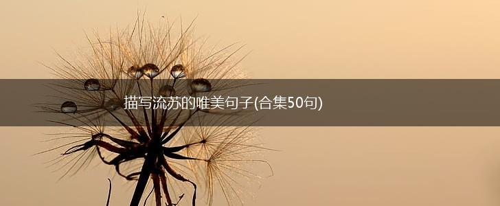 描写流苏的唯美句子(合集50句),第1张