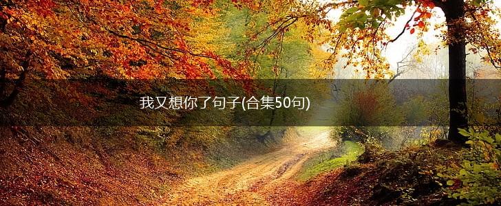 我又想你了句子(合集50句),第1张