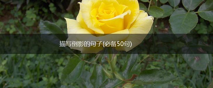描写倒影的句子(必备50句),第1张