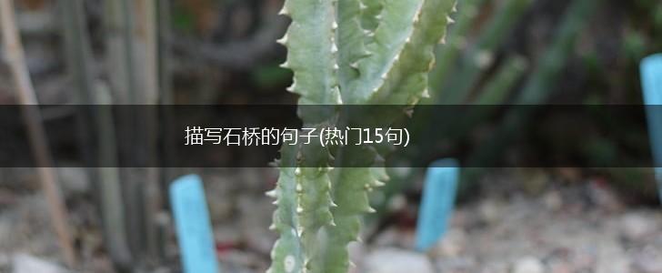 描写石桥的句子(热门15句),第1张