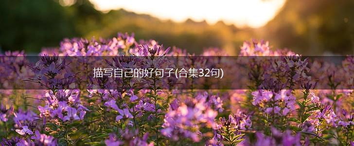 描写自己的好句子(合集32句),第1张