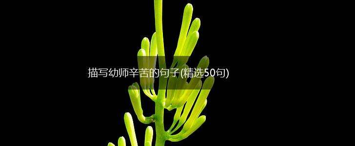 描写幼师辛苦的句子(精选50句),第1张