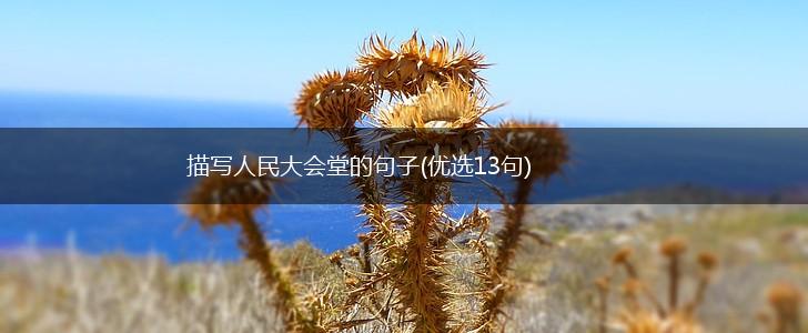 描写人民大会堂的句子(优选13句),第1张