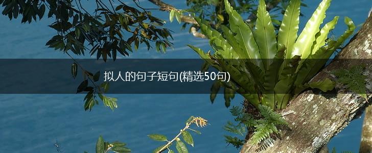 拟人的句子短句(精选50句),第1张