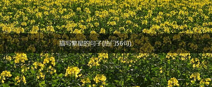 描写繁星的句子(热门56句),第1张 描写繁星的句子(热门56句),第1张