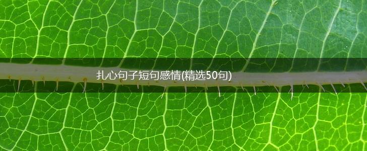 扎心句子短句感情(精选50句),第1张