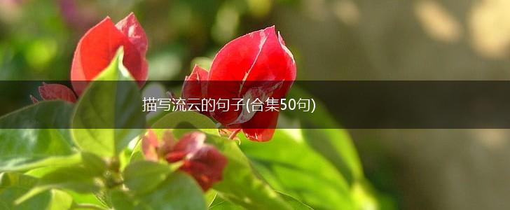 描写流云的句子(合集50句),第1张