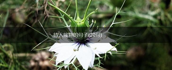 待人接物的句子(20句),第1张