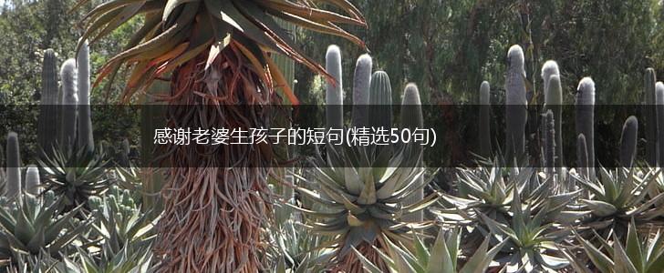 感谢老婆生孩子的短句(精选50句),第1张