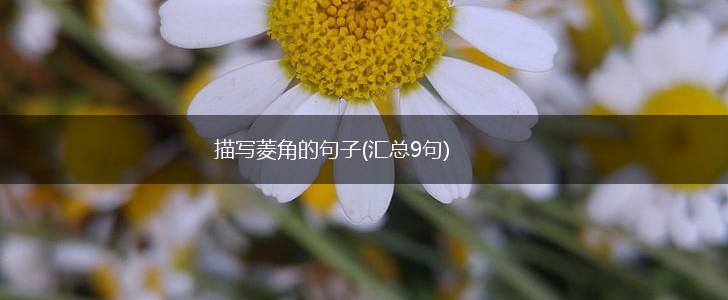 描写菱角的句子(汇总9句),第1张