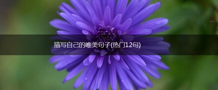 描写自己的唯美句子(热门12句),第1张 描写自己的唯美句子(热门12句),第1张