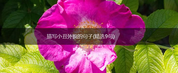 描写小丑外貌的句子(精选9句),第1张
