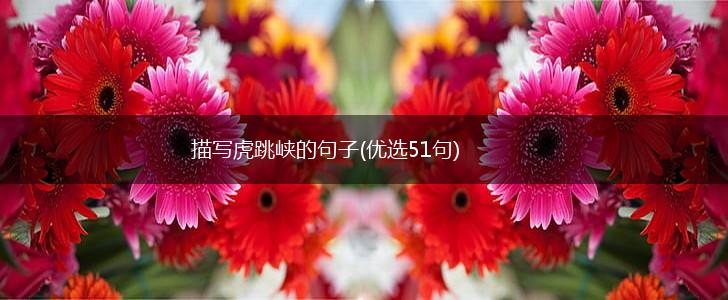 描写虎跳峡的句子(优选51句),第1张