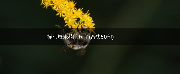 描写爆米花的句子(合集50句),第1张