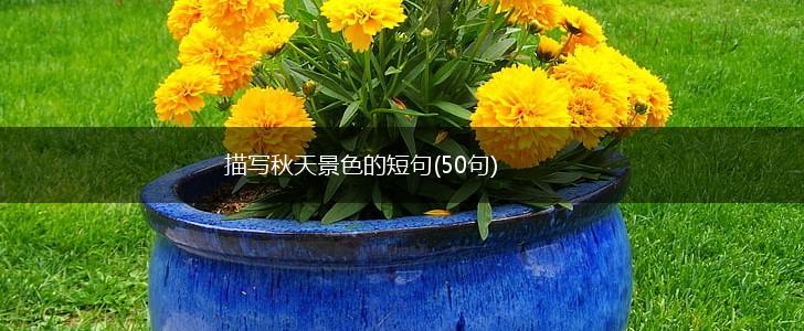 描写秋天景色的短句(50句),第1张