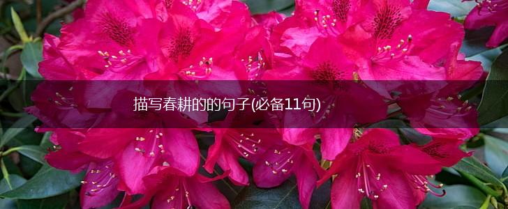 描写春耕的的句子(必备11句),第1张