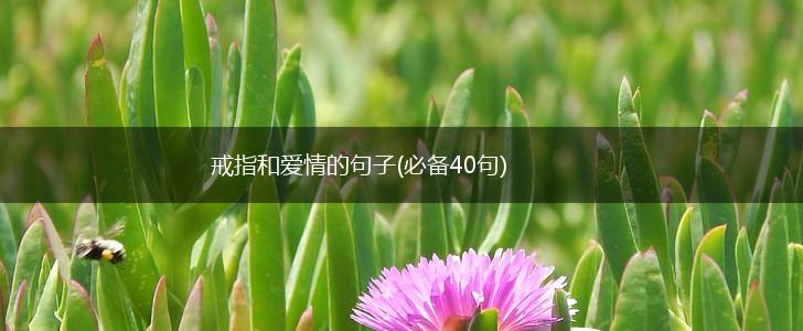 戒指和爱情的句子(必备40句),第1张