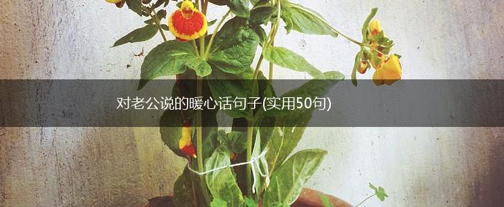 对老公说的暖心话句子(实用50句),第1张 对老公说的暖心话句子(实用50句),第1张