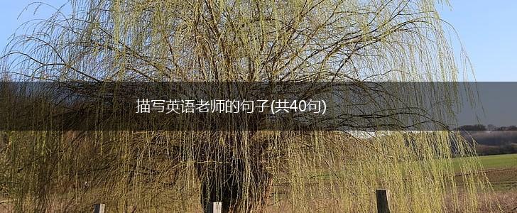 描写英语老师的句子(共40句),第1张