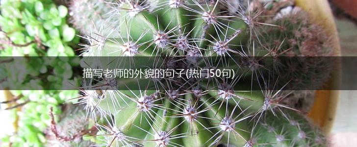 描写老师的外貌的句子(热门50句),第1张
