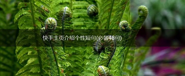 快手主页介绍个性短句(必备48句),第1张