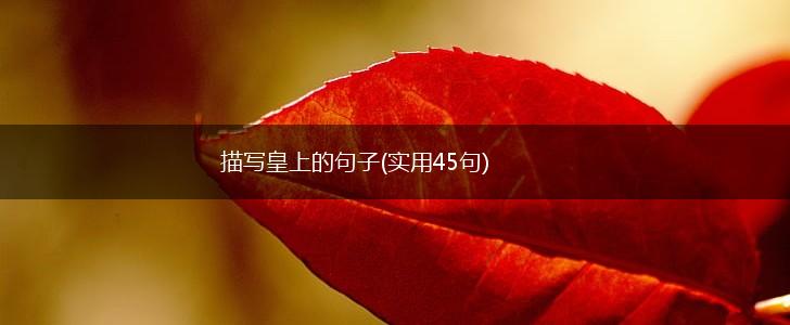 描写皇上的句子(实用45句),第1张