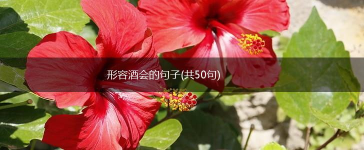 形容酒会的句子(共50句),第1张 形容酒会的句子(共50句),第1张