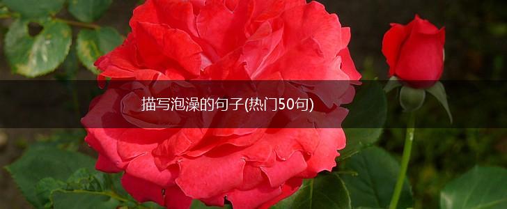 描写泡澡的句子(热门50句),第1张
