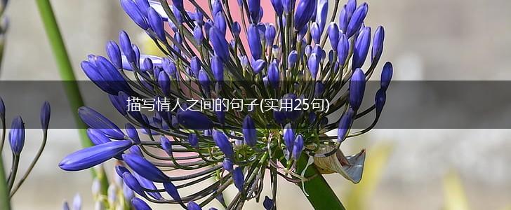 描写情人之间的句子(实用25句),第1张 描写情人之间的句子(实用25句),第1张